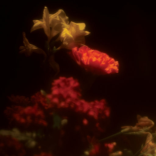 成人🔞免费视频A片在线观看
